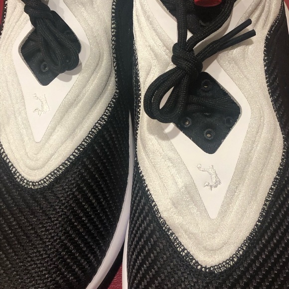 lebrons - Picture 6 of 6